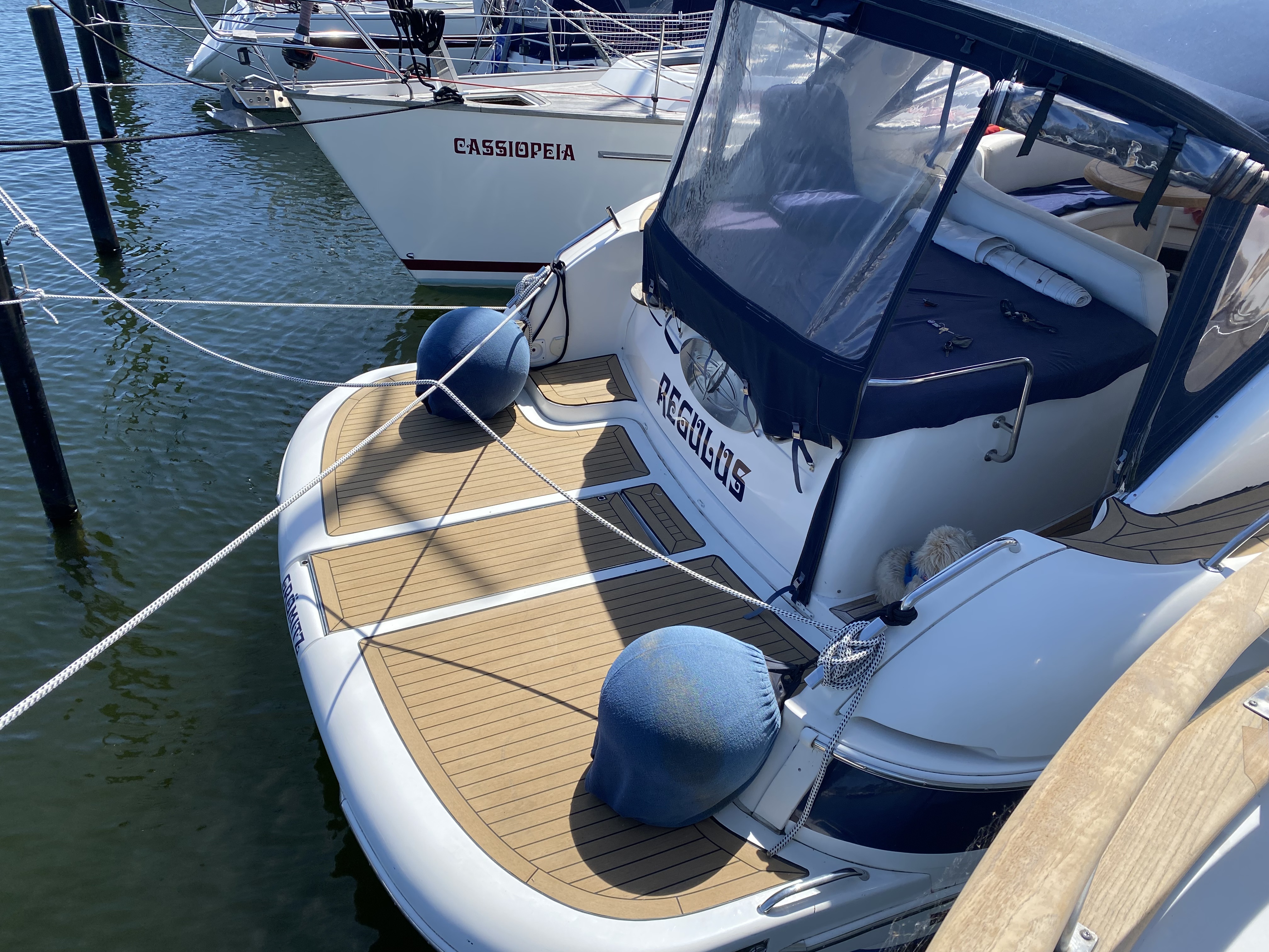 Bavaria 38 Sport